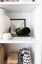 Load image into Gallery viewer, Velvet Pumpkin