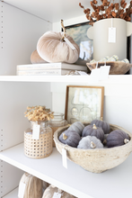 Load image into Gallery viewer, Velvet Pumpkin