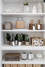 Load image into Gallery viewer, Faux Pine Tree in Paper Mache Pot