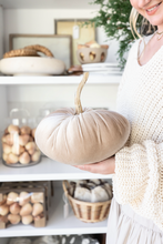 Load image into Gallery viewer, Velvet Pumpkin