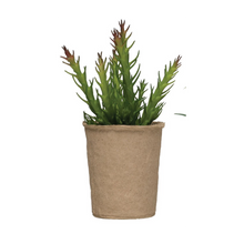 Load image into Gallery viewer, Faux Succulent in Paper Pot