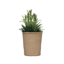 Load image into Gallery viewer, Faux Succulent in Paper Pot