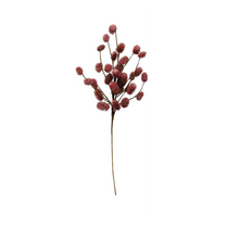 Load image into Gallery viewer, Dried Natural Thistle Pick