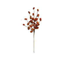 Load image into Gallery viewer, Dried Natural Thistle Pick