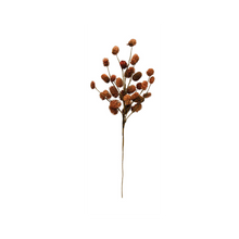 Load image into Gallery viewer, Dried Natural Thistle Pick