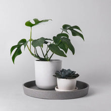 Load image into Gallery viewer, Bamboo Fibre Decor Tray