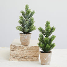 Load image into Gallery viewer, Faux Pine Tree in Paper Mache Pot