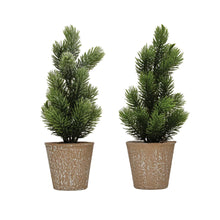 Load image into Gallery viewer, Faux Pine Tree in Paper Mache Pot