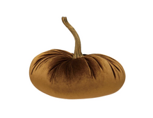 Load image into Gallery viewer, Velvet Pumpkin