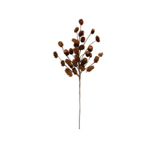 Load image into Gallery viewer, Dried Natural Thistle Pick