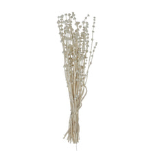 Load image into Gallery viewer, Dried Natural Lion&#39;s Tail Bunch
