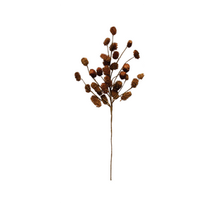 Dried Natural Thistle Pick