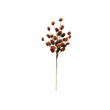 Load image into Gallery viewer, Dried Natural Thistle Pick
