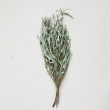 Load image into Gallery viewer, Dried Natural Eucalyptus Bunch
