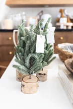 Load image into Gallery viewer, Frosted Cypress Tree
