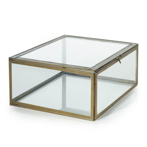 Glass Display Box 10"x 8"x 4"