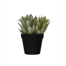 Load image into Gallery viewer, Faux Succulent
