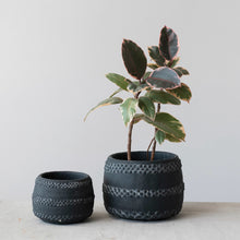 Load image into Gallery viewer, Terracotta Planter with Raised Dots
