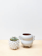 Load image into Gallery viewer, White Cacti Pot
